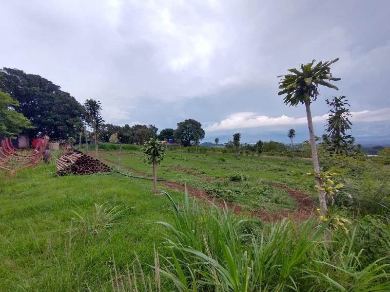 Land For Sale, Located In Grecia Costa Rica